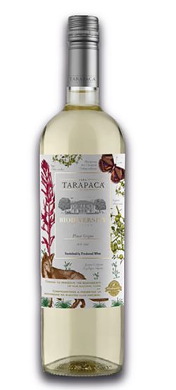 produkt Tarapacá Biodiversity Pinot Grigio 2021 0,75l 12,5% L.E.