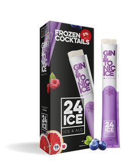 produkt 24 Ice Gin & Tonic Frozen Cocktails 5×0,65l 5%